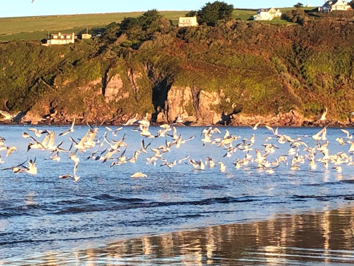 Treetops Lodge, Bantham, South Devon, A Tranquil Rural Retreat Holiday home Bantham